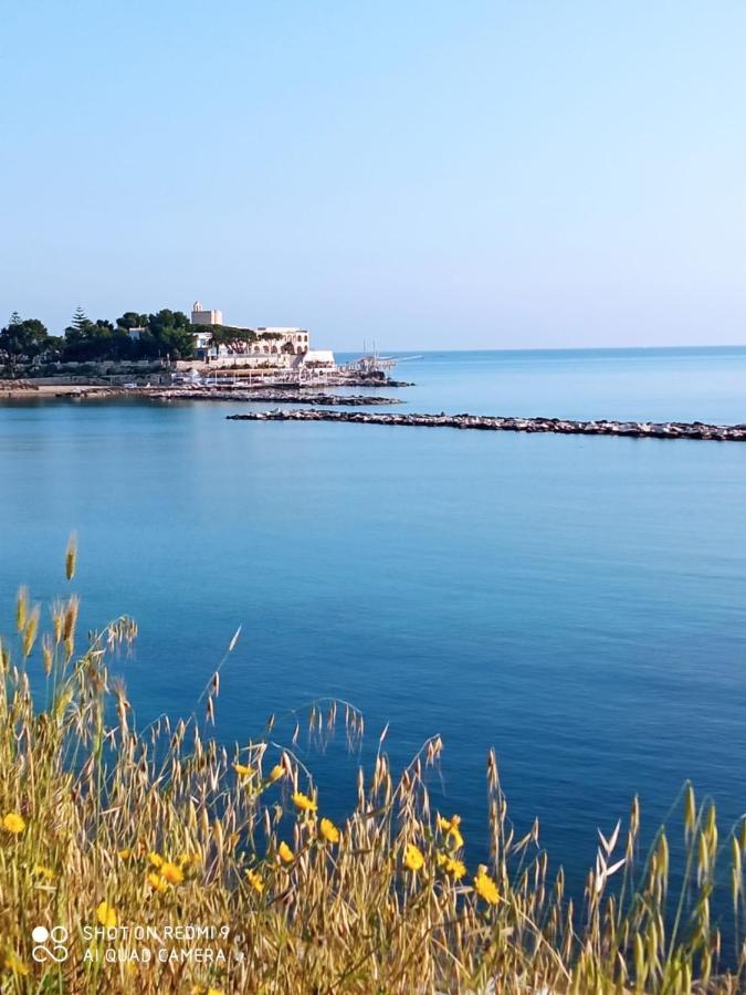 Apartmán Ognissanti80 Trani Exteriér fotografie